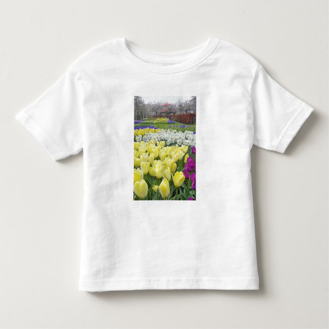 Camiseta De Bebé Tulipanos, daffodils y flores de jacinto de uva, (Anverso)