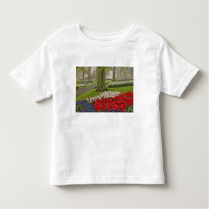 Camiseta De Bebé Tulipanos y daffodils, Keukenhof Gardens,
