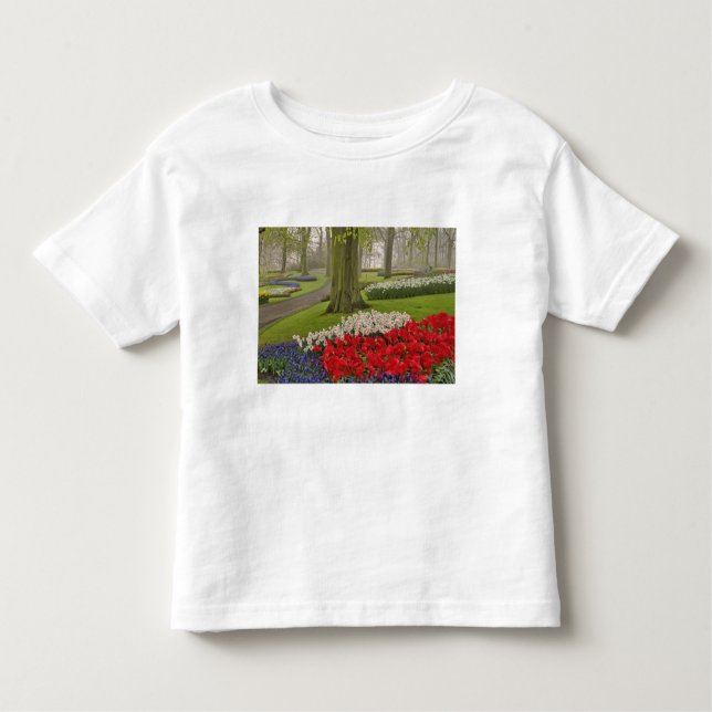 Camiseta De Bebé Tulipanos y daffodils, Keukenhof Gardens, (Anverso)