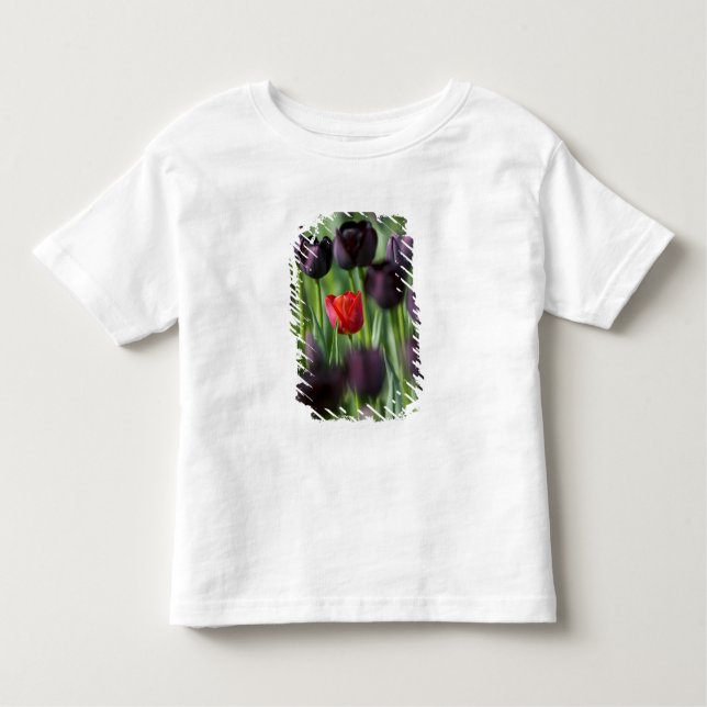Camiseta De Bebé Tulips en Keukenhof Gardens, Amsterdam, (Anverso)