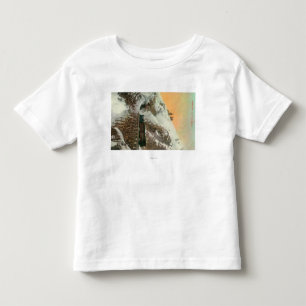 Camiseta De Bebé Túnel en el Pacífico occidental y el Yukón RR