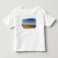 Túnez, desierto del Sahara, Douz, Gran Duna, atard