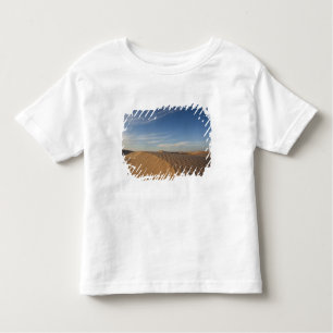 Camiseta De Bebé Túnez, desierto del Sahara, Douz, gran duna, ocaso