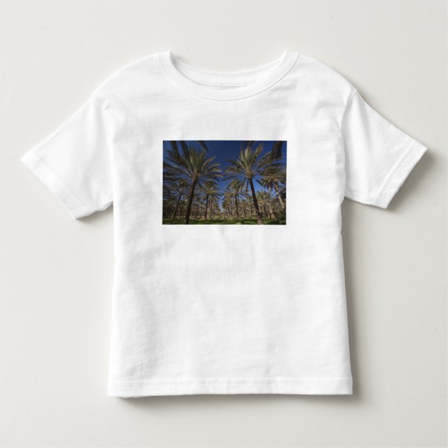 Camiseta De Bebé Túnez, desierto del Sahara, Douz, zona turística,  (Anverso)