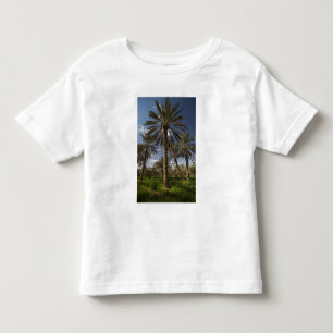 Camiseta De Bebé Túnez, zona de Ksour, Ksar Ghilane, palmera datile