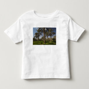 Camiseta De Bebé Túnez, zona de Ksour, Ksar Ghilane, palmera datile
