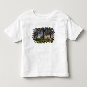 Camiseta De Bebé Túnez, zona de Ksour, Ksar Ghilane, palmera datile