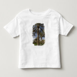 Camiseta De Bebé Túnez, zona de Ksour, Ksar Ghilane, palmera datile