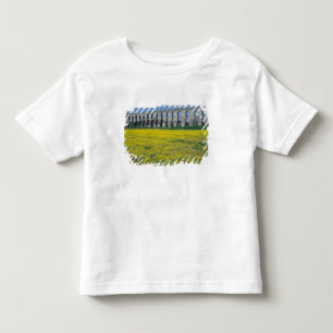 Camiseta De Bebé Turquía, Estambul, Kemerburgaz, Uzunkemer (el