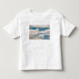 Camiseta De Bebé Turquía, Pamukkale Castillo de Algodón).