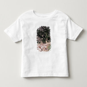 Camiseta De Bebé UE, Francia, Provenza, Bocas, del, Ródano, 3