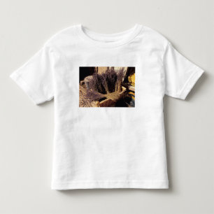 Camiseta De Bebé UE, Francia, Provenza, Bocas, del, Ródano, Les