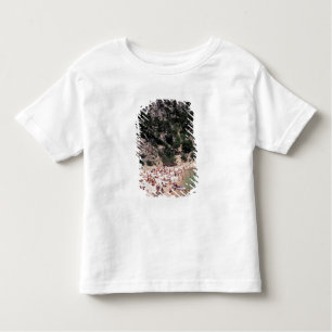 Camiseta De Bebé UE, Francia, Provenza, Bouches, du, Rhone, 3