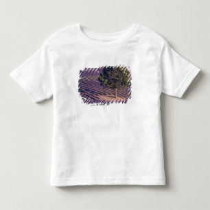 Camiseta De Bebé UE, Francia, Provenza, Campos de lavanda