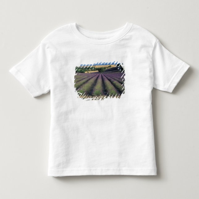 Camiseta De Bebé UE, Francia, Provenza, Campos de lavanda 2 (Anverso)