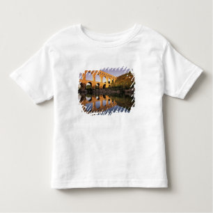 Camiseta De Bebé UE, Francia, Provenza, Gard, Pont du Gard.2