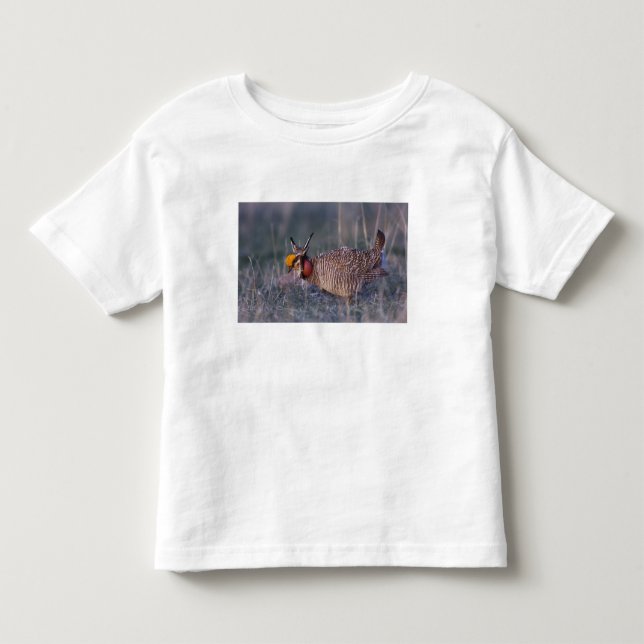 Camiseta De Bebé Ullalero chico, Tympanuchus (Anverso)
