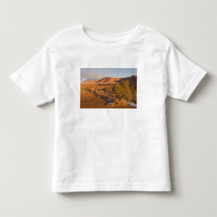 Camiseta De Bebé Un árbol de enebro de Utah Juniperus osteosperma) 