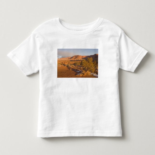 Camiseta De Bebé Un árbol de enebro de Utah Juniperus osteosperma)  (Anverso)
