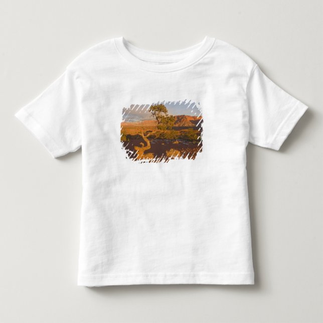 Camiseta De Bebé Un árbol de enebro de Utah Juniperus osteosperma)  (Anverso)