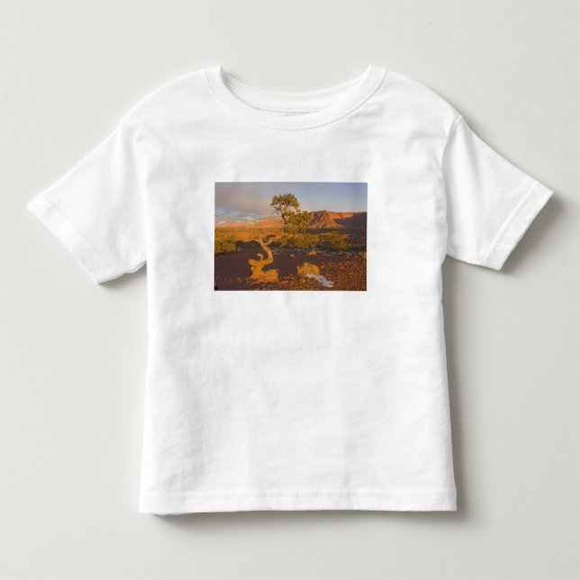 Camiseta De Bebé Un árbol Utah Juniper Juniperus osteosperma) en (Anverso)