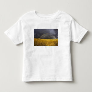 Camiseta De Bebé Un arcoíris que aparece a través de una tarde brum