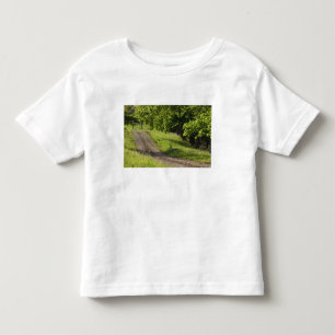 Camiseta De Bebé Un camino rural en Ipswich, Massachusetts.