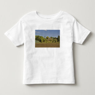 Camiseta De Bebé Un campo cultivado frente a casas de techo de paja