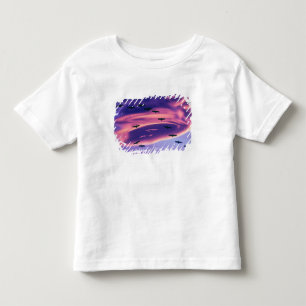 Camiseta De Bebé Un compuesto fotográfico de grullas de la arena en