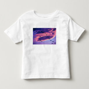 Camiseta De Bebé Un compuesto fotográfico de grullas de sandhill en