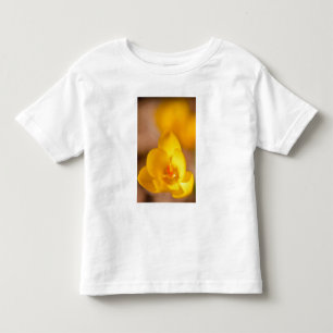 Camiseta De Bebé Un crocus amarillo florece en Portsmouth, Nuevo