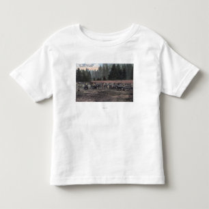 Camiseta De Bebé Un equipo de la mula en el campo Lewis