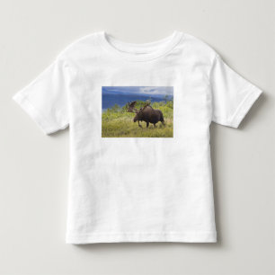 Camiseta De Bebé Un gran alce macho se encuentra entre sauces