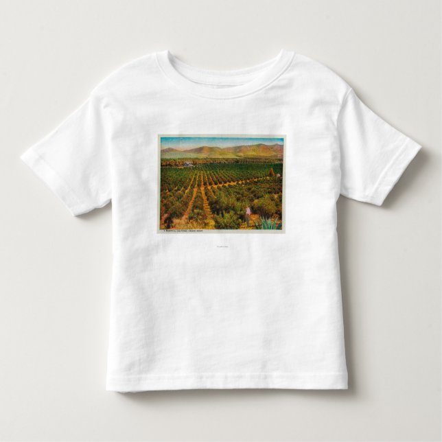 Camiseta De Bebé Un GroveState anaranjado hermoso (Anverso)