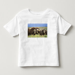 Camiseta De Bebé Un grupo de bueyes almizcleros se alimentan de arb