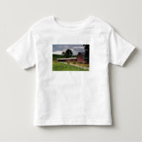 Un paseo por el campo agrícola de Palouse 4