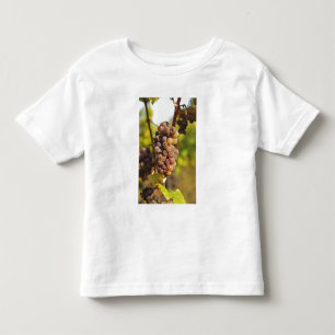 Camiseta De Bebé Un racimo de uvas Semillon mohoso en Ch Raymond La