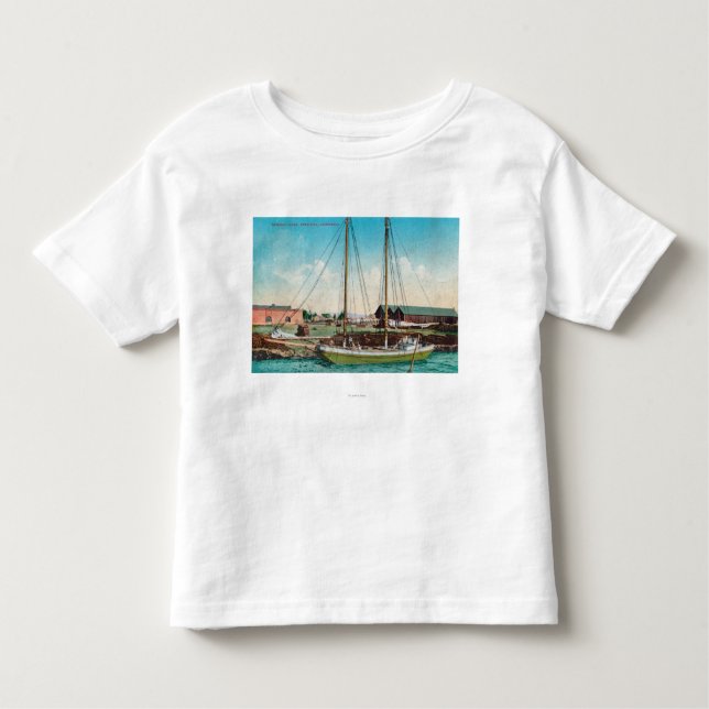 Camiseta De Bebé Un Schooner ScenePetaluma, CA del envío (Anverso)