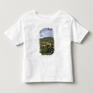 Camiseta De Bebé Una cerca de piedra a través de campos