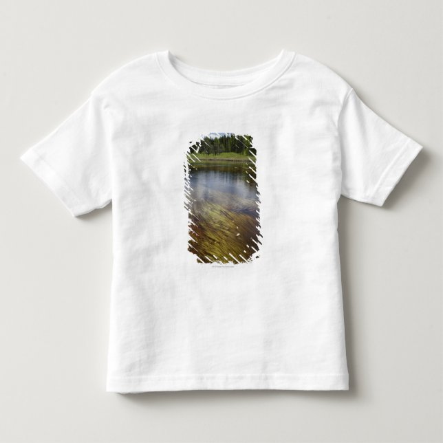 Camiseta De Bebé Una charca inmóvil que refleja las nubes (Anverso)