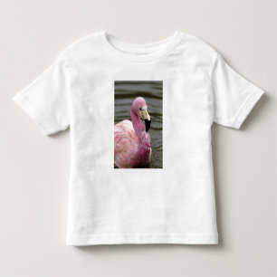 Camiseta De Bebé Una foto cautiva de un flamenco andino