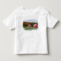 Una granja en Vermont cerca de Peacham. LIBERAR