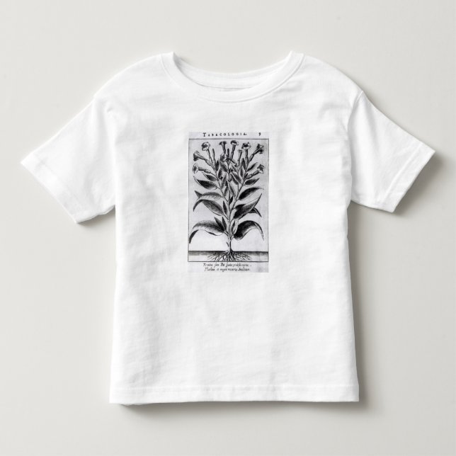 Camiseta De Bebé Una planta de tabaco, 1622 (Anverso)