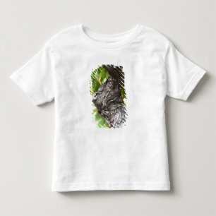 Camiseta De Bebé Una rama de una vid muy vieja con corteza nudosa