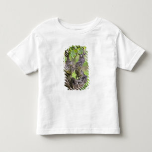 Camiseta De Bebé Una vid muy vieja en el viñedo Clos de l'Echo