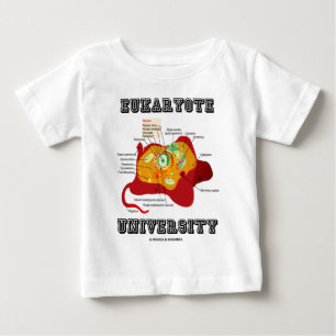 Camiseta De Bebé Universidad del eucariota (célula animal)