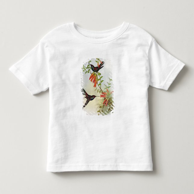 Camiseta De Bebé Urochroa Bougieri (Anverso)
