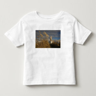 Camiseta De Bebé Uruguay, Departamento de Montevideo, Montevideo.