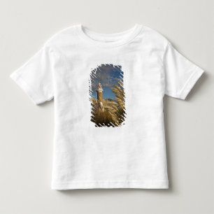 Camiseta De Bebé Uruguay, Departamento de Montevideo, Montevideo. 2