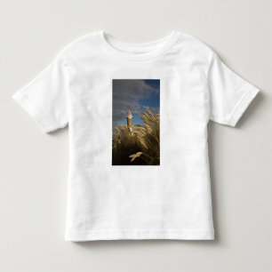 Camiseta De Bebé Uruguay, Departamento de Montevideo, Montevideo. 2